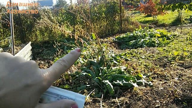 Огородные доделки Земляника смотреть онлайн
