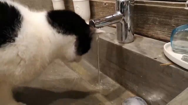 У вас из крана тоже мокрая вода течёт? смотреть онлайн