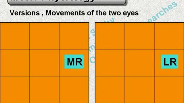 Motor Physiology of the eye смотреть онлайн