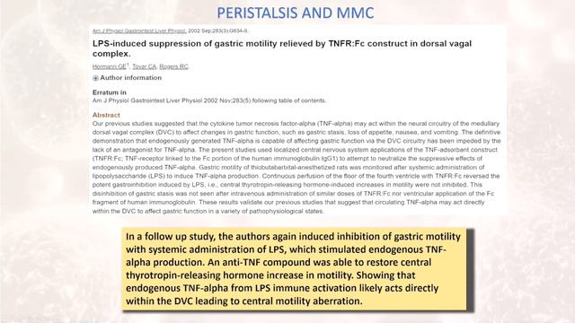 Sibo смотреть онлайн