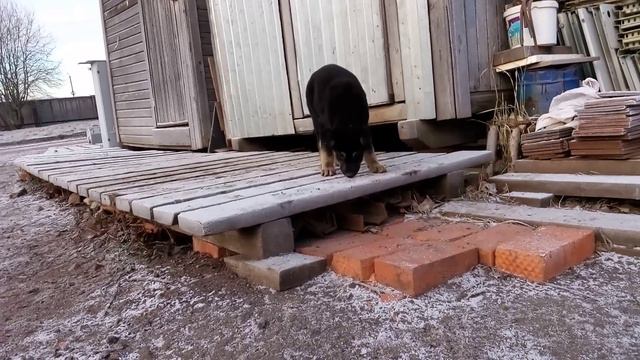 30.12.15 смотреть онлайн