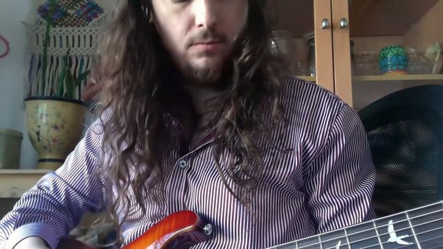 Baritone Guitar Drone se277 Semi Hollow PRS смотреть онлайн