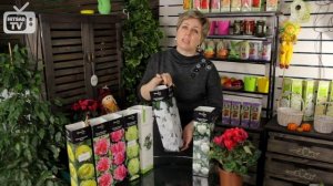 Чубушник и дейция ➡ Что посадить в саду?