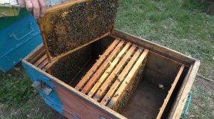 УЛЕЙ ЛЕЖАК. Как сделать расширение гнезда пчел?