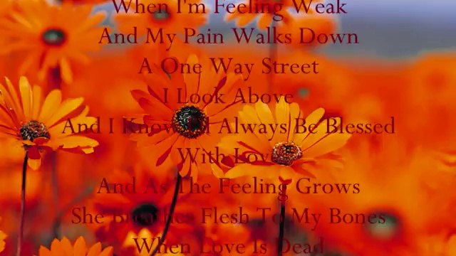 Поём Angels вместе с Робби... смотреть онлайн