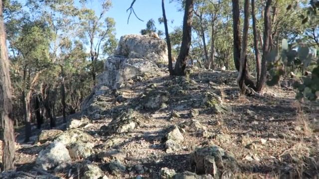 Talbot, Australia, поиск золота с детектором смотреть онлайн