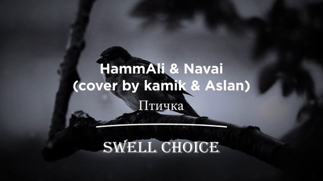 HammAli & Navai - Птичка (cover by kamik & Aslan) | 🔉 Swell Choice 🔊 смотреть онлайн