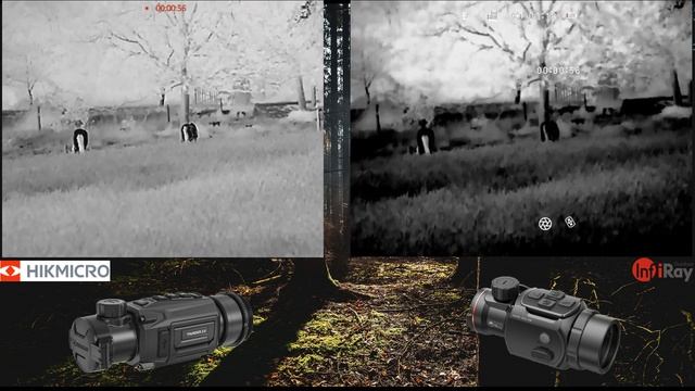 Vorstellung Hikmicro Thunder TH35pc 2.0 + Vergleich mit InfiRay MATE MAL38 Wärmebild-Vorsatzgerät смотреть онлайн