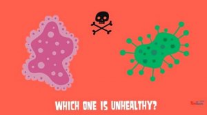 Healthy Unhealthy Food Quiz