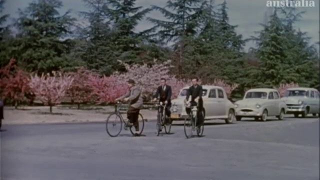 Guide To Canberra смотреть онлайн