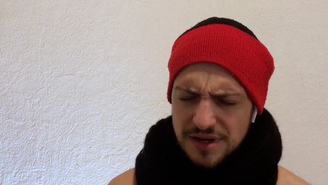 Fil Swan  Снег cover Александр Бабешко