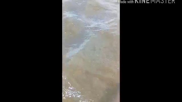 Мы поехали на первое озеро !!! смотреть онлайн