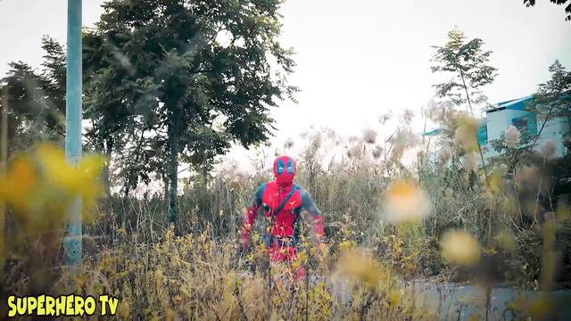 What If Many SPIDER-MAN In 1 HOUSE...?? SPIDER-MAN Defeat JOKER, Protect Pregnant Supergirl