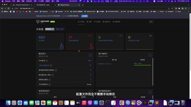 目前最强双软路由形态2.0，抛弃OpenWrt，优化方案，mangle标记以及DNS分流，MosDNS分流，AdGuard Home去广告，第一期 смотреть онлайн