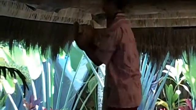 Hawai'i смотреть онлайн