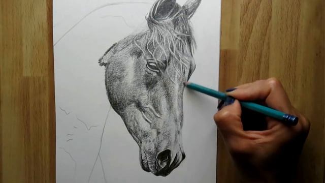 How to draw a Horse EASY step by step смотреть онлайн