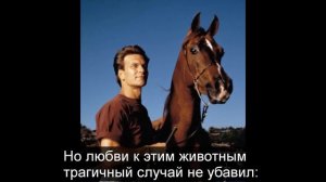 Патрик Суэйзи: ПЕЧАЛЬНАЯ судьба и КОВАРНОЕ предательство жены актера. Что рассказала его подруга?