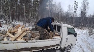 ЗАГОТОВКА ДРОВ!!! ДРОВОКОЛ ГОРЫНЫЧ БЕРЁМ С СОБОЙ В ЛЕС  КОЛОТЬ БЕРЁЗУ!!! НЕ ЗРЯ КУПИЛ ДРОВОКОЛ.