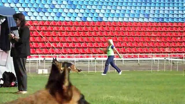 Рабочий класс сук 10 _ Russian Siegerschau 2015