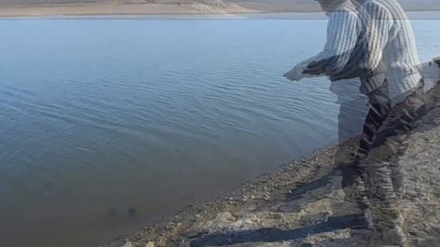 Симферопольское водохранилище щука 4.КГ. смотреть онлайн