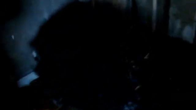 Зимнее содержание, кормление, поение вьетнамского хряка//Уральское село// смотреть онлайн