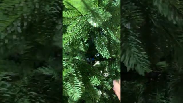 Шотландия видео обзор смотреть онлайн