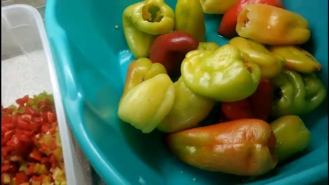 ЗАГОТОВКИ ОВОЩЕЙ НА ЗИМУ//ПОЛУФАБРИКАТЫ/ смотреть онлайн