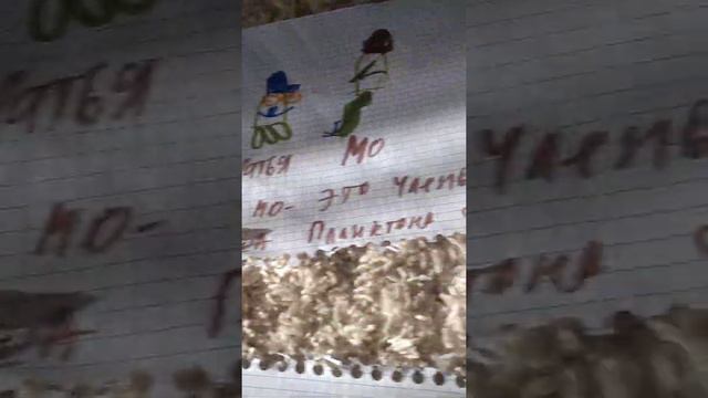 полное семейное древо Шелдона Планктона