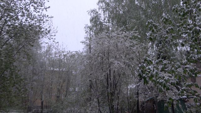 Майский снег смотреть онлайн