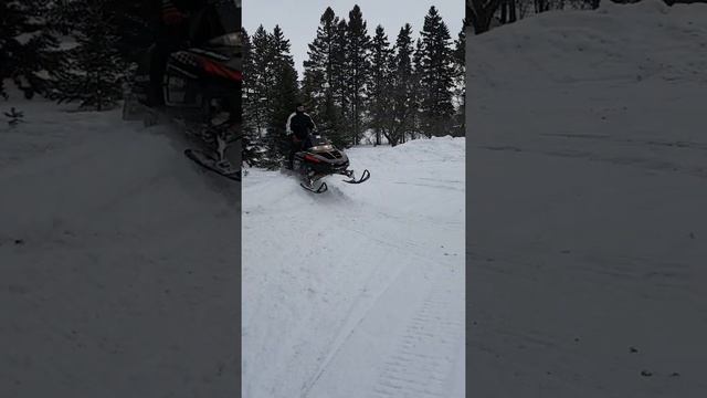 Skidoos смотреть онлайн