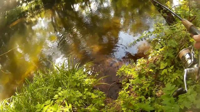 Ловля голавля на таракана Imakatsu abe yanma смотреть онлайн