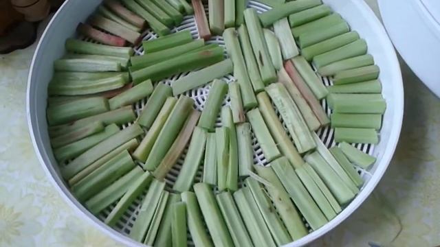 Сушка ревня в электросушителе. смотреть онлайн