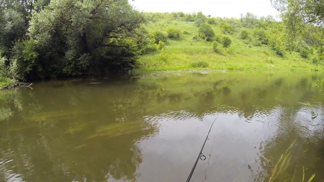 Воблер Jackall Chubby SSR ловля голавля