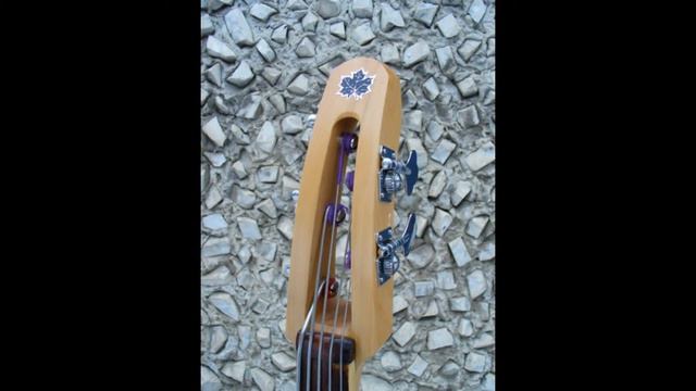 Electro-acoustic D-Bass 24 (5str,Bow samples) смотреть онлайн