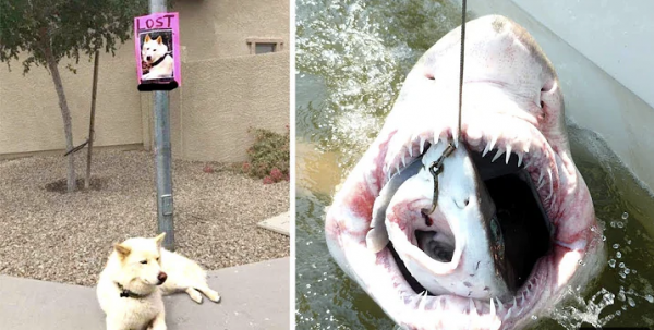 Совпадения На Миллион 4