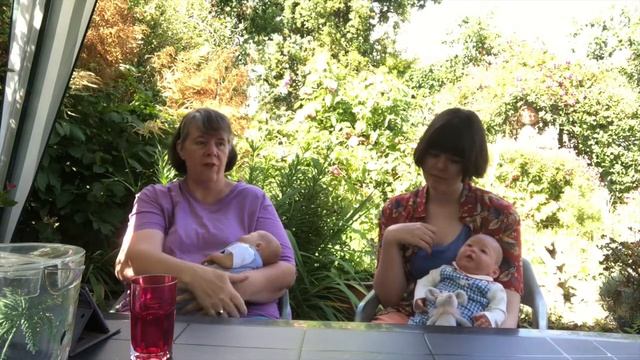 Hush Little Babies 'Our Reborn Babies' Tag смотреть онлайн