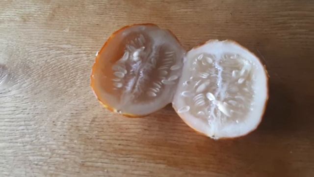 Вьетнамская дыня смотреть онлайн