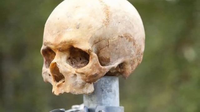 Бизнес на аттракционах | Открыть комнату страха как бизнес идея смотреть онлайн