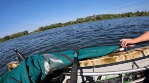 сом на квок, август, Саратов волга, 26.08.2022