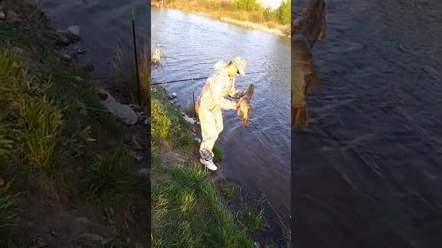 Новомичуринская ГРЕС