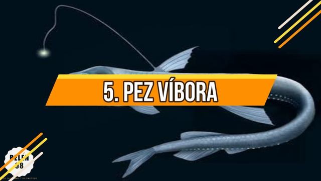 9 ATERRADORA CRIATURAS QUE HABITAN EN EL FONDO DEL MAR ? "belen 98" смотреть онлайн