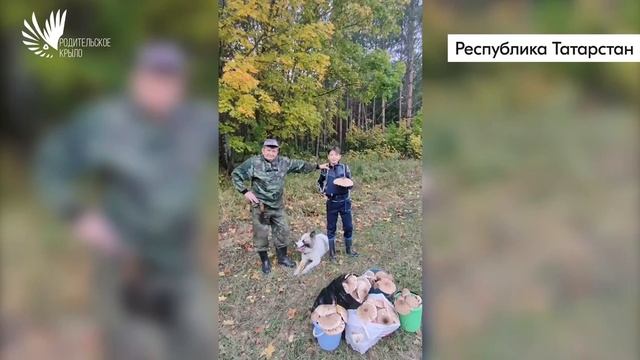 Поздравление с Днём отца от «Родительского крыла РДШ» смотреть онлайн
