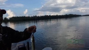 Рыбалка.на лодке.по реке Обь.джиг.отводной поводок.