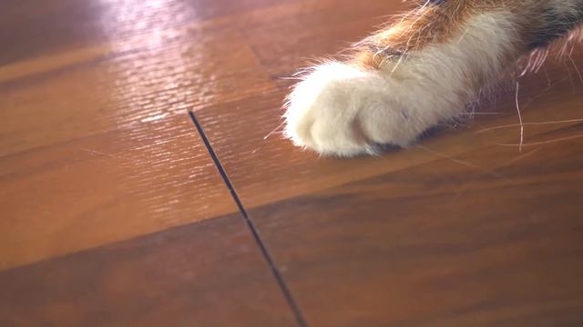 7 ЛАЙФХАКОВ ОТ SLIVKISHOW смотреть онлайн