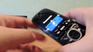 Радиотелефон Panasonic KX TG1611 RUH