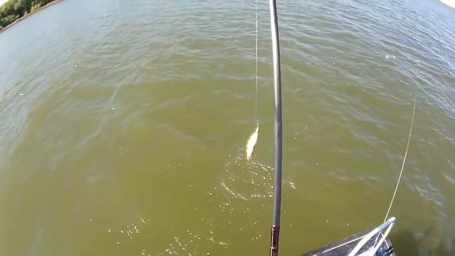 Джиг на поролон как из пулемёта! Сплавом по Митинке, Октябрь 2015, база Ахтуба клуб смотреть онлайн