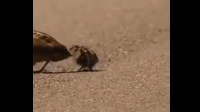 на прогулке.