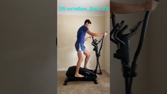 29 октября. День 24