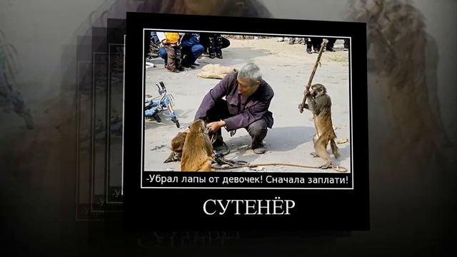 Серёге посвящается смотреть онлайн