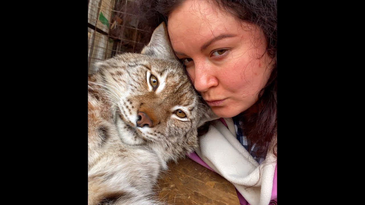 Рысь Марс на стриме 27.05.2022